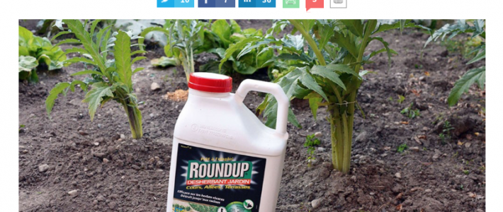 « Glyphosate : sortir de l’idéologie » (Les Echos) « Glyphosate : sortir de l’idéologie » (Les Echos)
